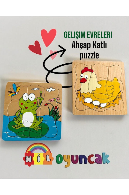 Tavuk Kurbağa Gelişim evreleri seti Ahşap katlı puzzle