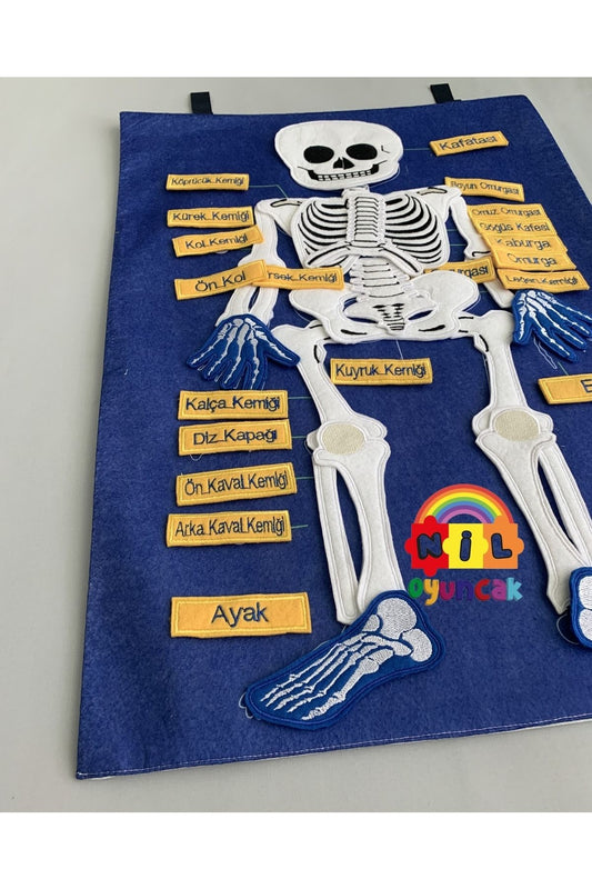 Iskelet Pano Cırtlı Kumaş