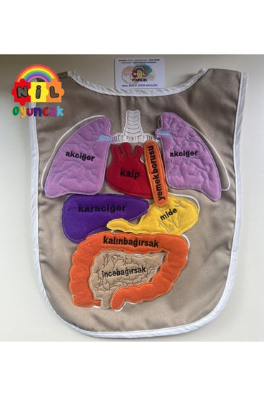 Eğlenceli Organ Önlüğü - Okul Öncesi Eğitim Için Giyilebilir Öğrenme Aracı