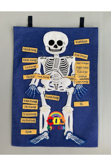 Iskelet Pano Cırtlı Kumaş